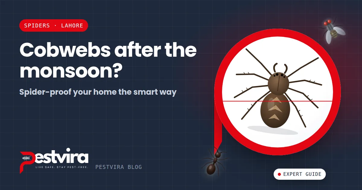 Cobwebs After the Monsoon — Spider-Proofing Your Lahore Home the Smart Way