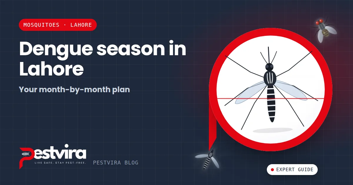 Dengue Season in Lahore — A Month-by-Month Prevention Plan for Your Home