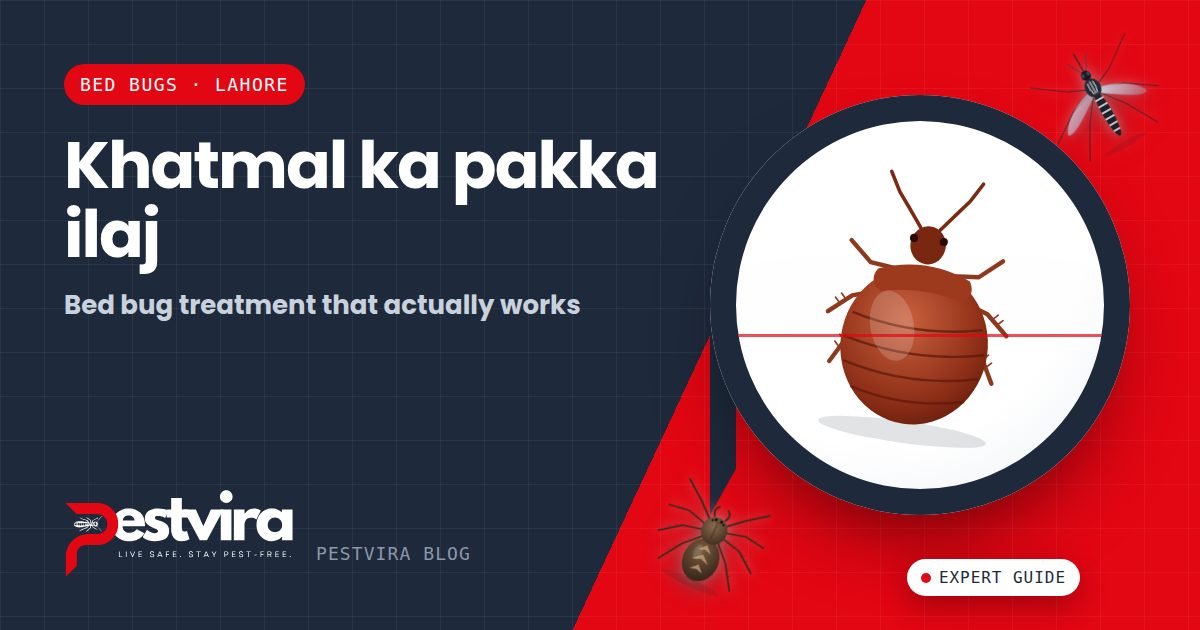 Khatmal ka Ilaj — How to Get Rid of Bed Bugs in Lahore Permanently