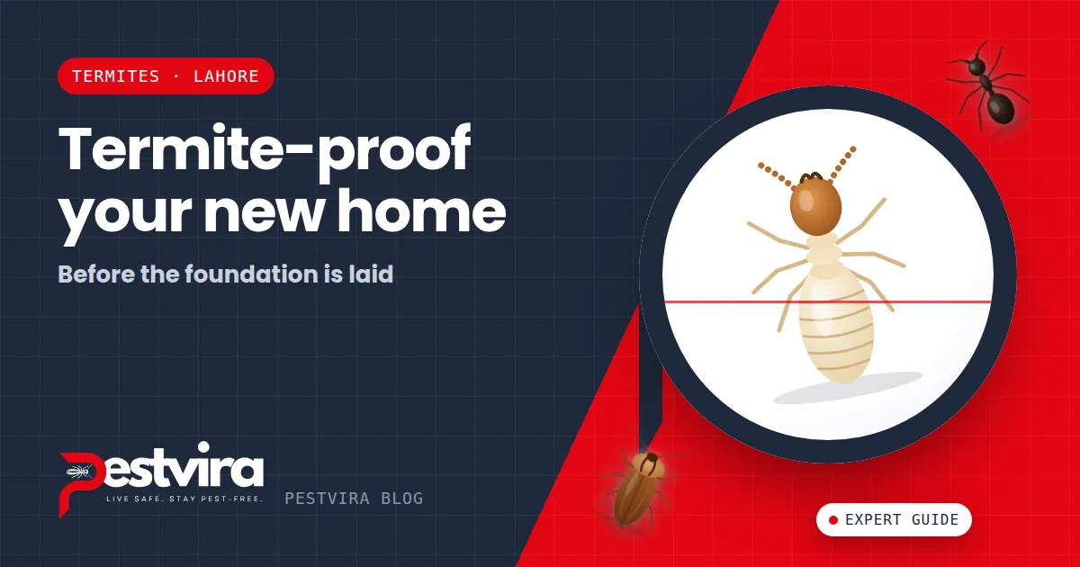 Pre-Construction Termite Proofing in Lahore — A Complete Guide for DHA, Bahria Town & Eden City Builders
