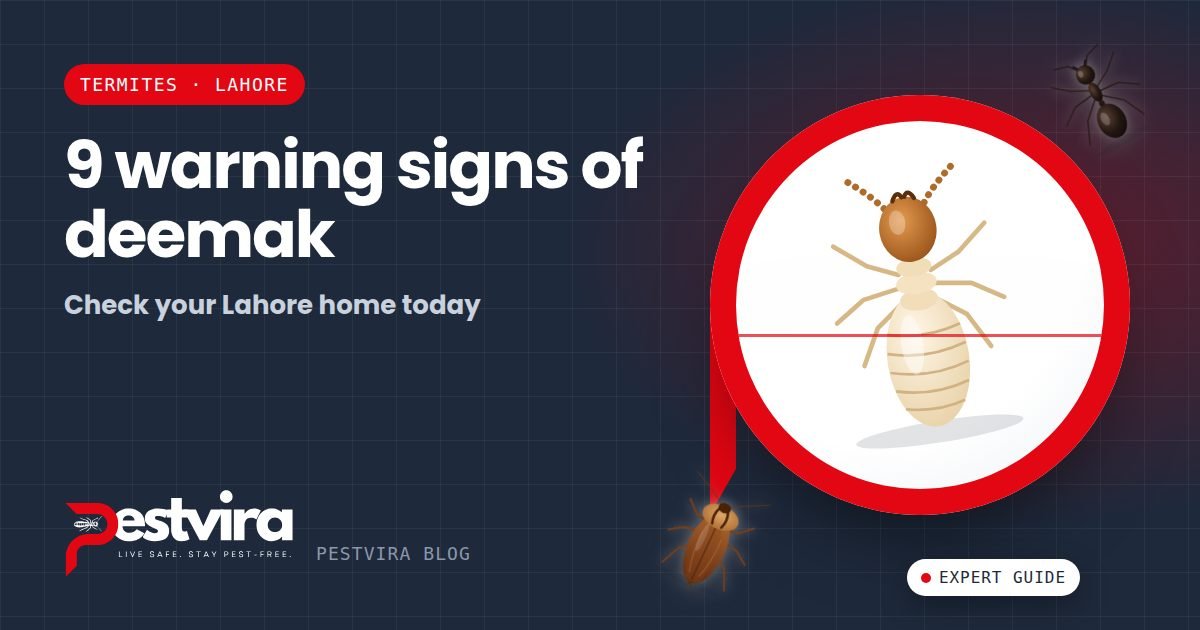 9 Signs of Termites (Deemak) in Your Lahore Home — and What to Do Next