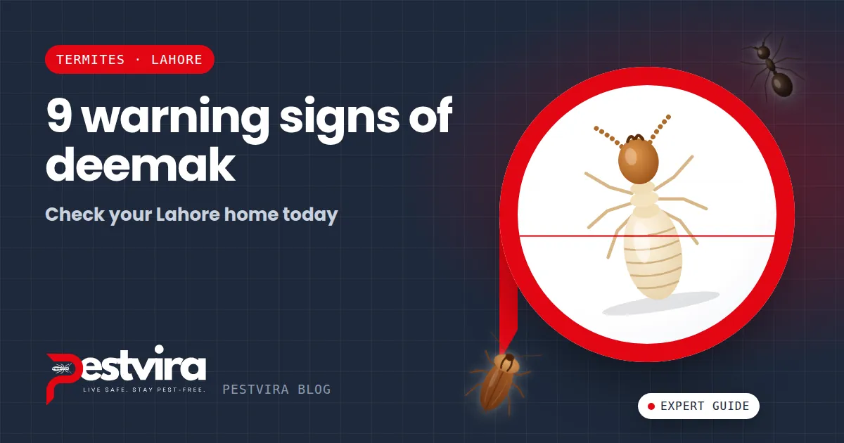 9 Signs of Termites (Deemak) in Your Lahore Home — and What to Do Next
